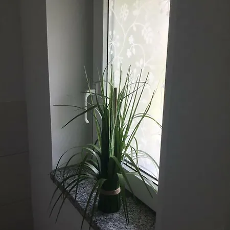 Appartamento Harzer Grabenhaus Güntersberge Esterno foto